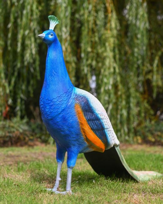 The Sandringham Cast Aluminium Peacock Garden Sculpture Shown on a Grassy Lawn in the Sun