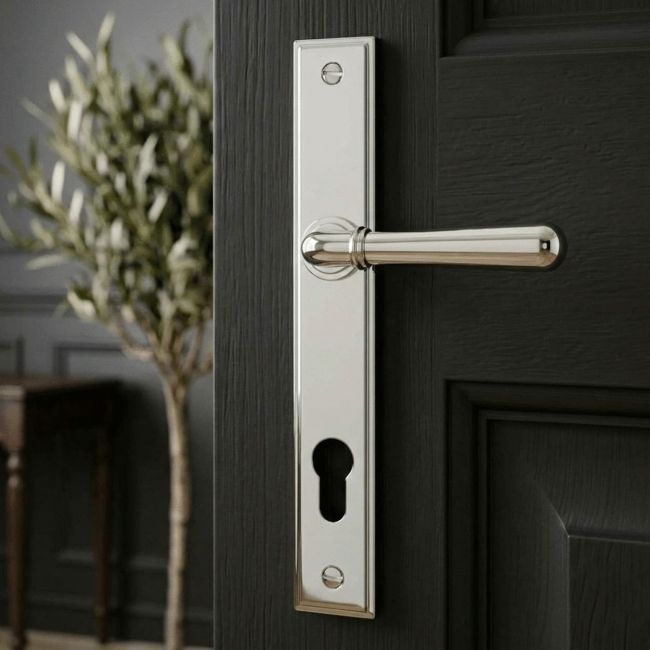The "Emerson" Slim Nickel Lever Door Handle on a Black Door in a Modern Interior Setting - Digital Illustration 