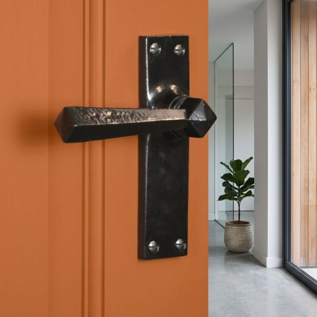 "Peregrine" Latch Set on Grey Door "Peregrine" Latch Set on Grey Door