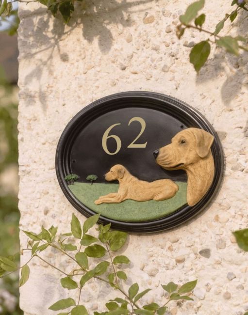 A Number 60 Hand Painted Rhodesian Ridgeback House Sign Mounted on a Textured Cottage Garden Wall - Digital Illustration A Number 60 Hand Painted Rhodesian Ridgeback House Sign Mounted on a Textured Cottage Garden Wall - Digital Illustration