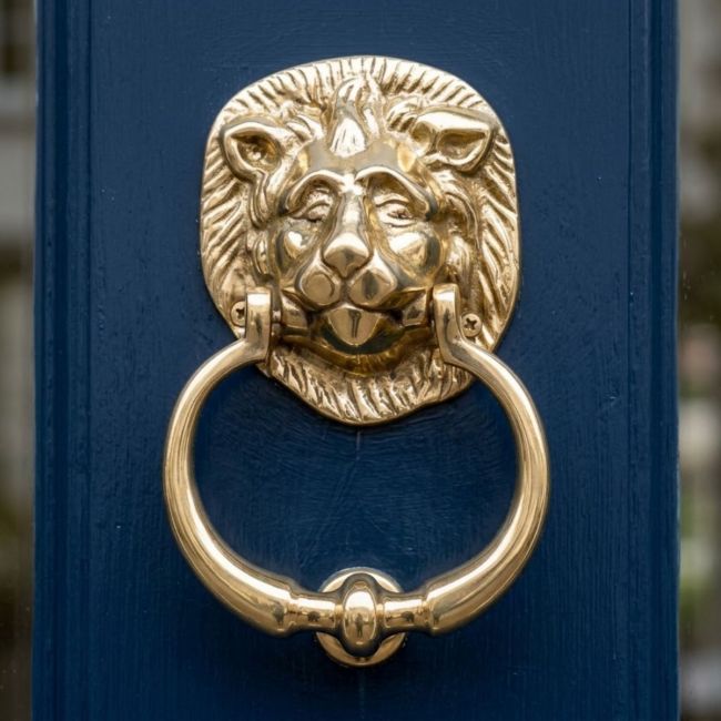 Traditional Polished Brass Lion Door Knocker in Situ on a  Pink Door