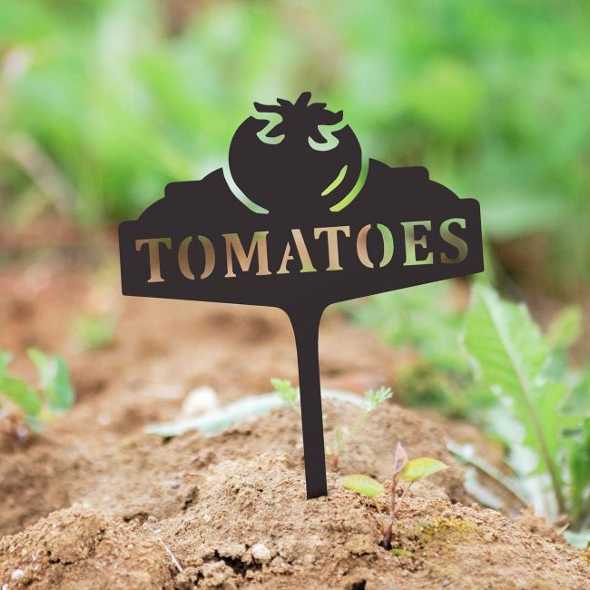 "Tomatoes" Vegetable Label in Situ in the Garden "Tomatoes" Vegetable Label in Situ in the Garden