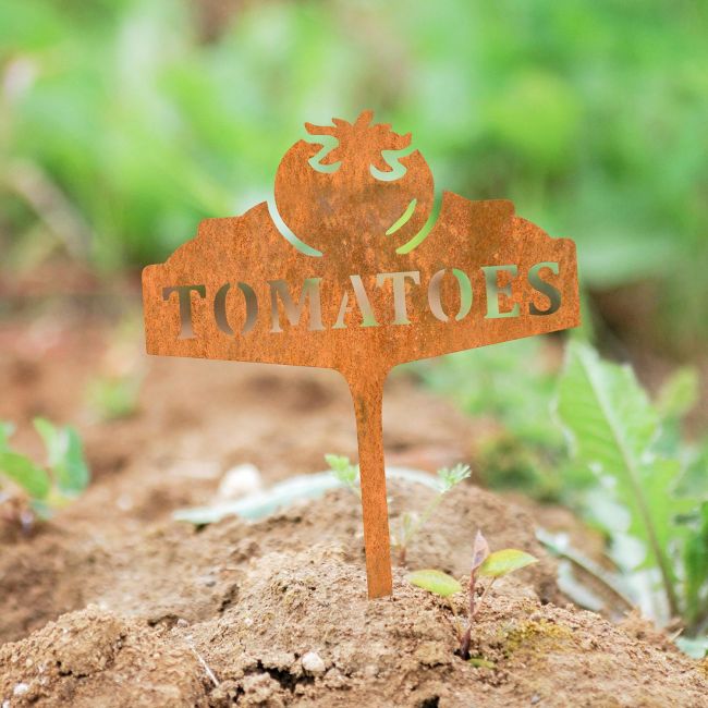 "Tomatoes" Vegetable Label in Situ in the Garden "Tomatoes" Vegetable Label in Situ in the Garden