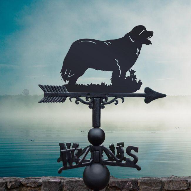 Newfoundland Weathervane 