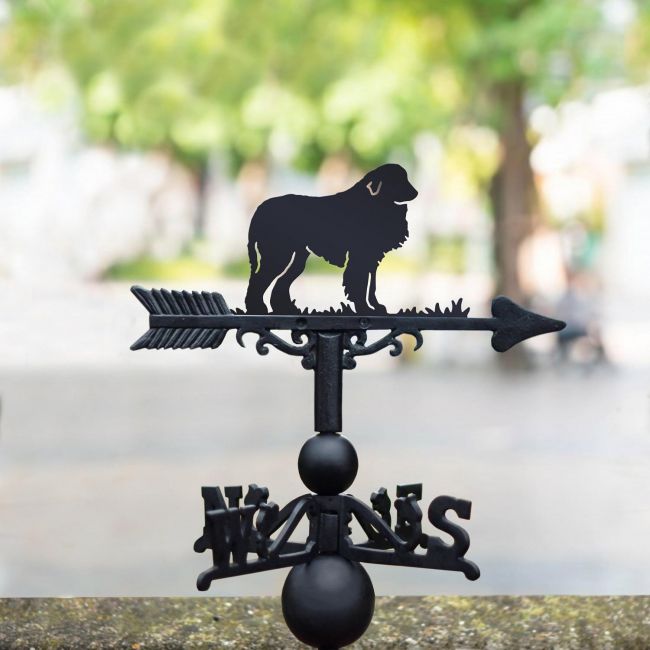 Black Pyrenean Mountain Dog