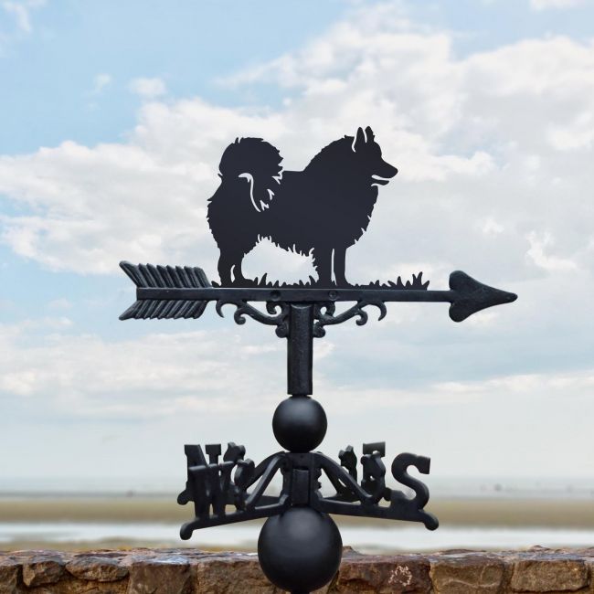 Canadian Eskimo Dog Weathervane in Black