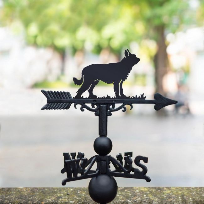 Berger Picard Weathervane in Black Berger Picard Weathervane in Black