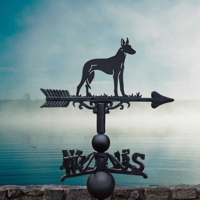 Black Weathervane with Ibizan Hound Design Black Weathervane with Ibizan Hound Design