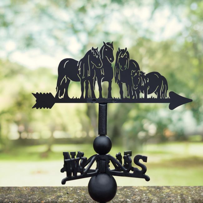 Shetland Ponies Weathervane in the Garden