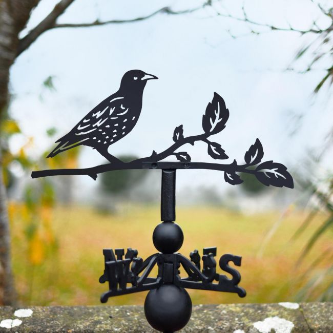 Starling Steel and Cast Iron Weathervane Starling Steel and Cast Iron Weathervane