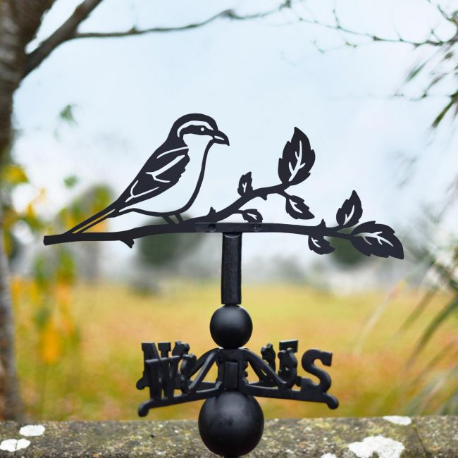 Great Grey Shrike Steel and Cast Iron Weathervane Great Grey Shrike Steel and Cast Iron Weathervane