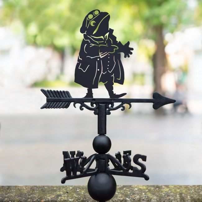 Mr Toad Weathervane in Black Mr Toad Weathervane in Black