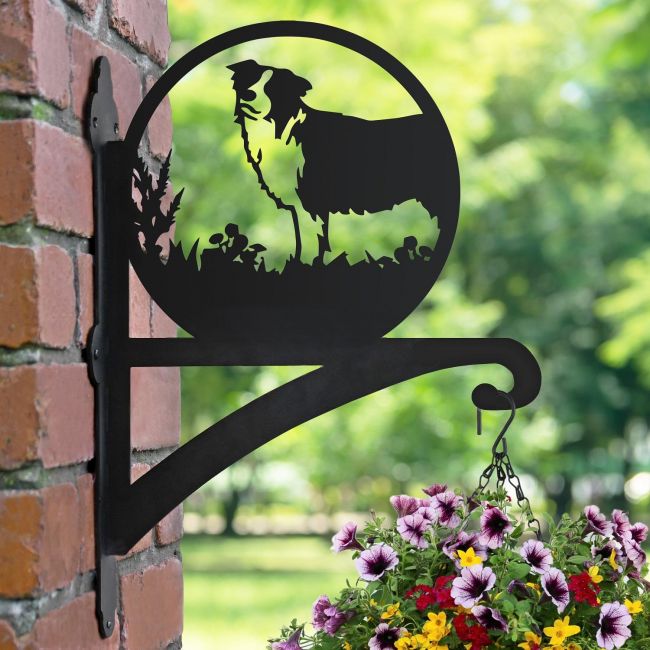 Border Collie Iron Hanging Basket Bracket Border Collie Iron Hanging Basket Bracket