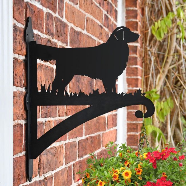 Golden Retriever Hanging Basket Bracket in Situ on a Brick Wall Golden Retriever Hanging Basket Bracket in Situ on a Brick Wall