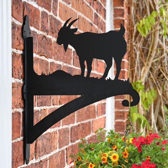 Mountain Goat Hanging Basket Bracket in Situ on a Brick Wall Mountain Goat Hanging Basket Bracket in Situ on a Brick Wall