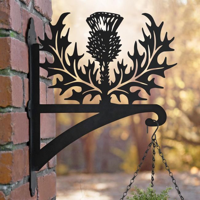 Thistle Hanging Basket Bracket in Situ Thistle Hanging Basket Bracket in Situ