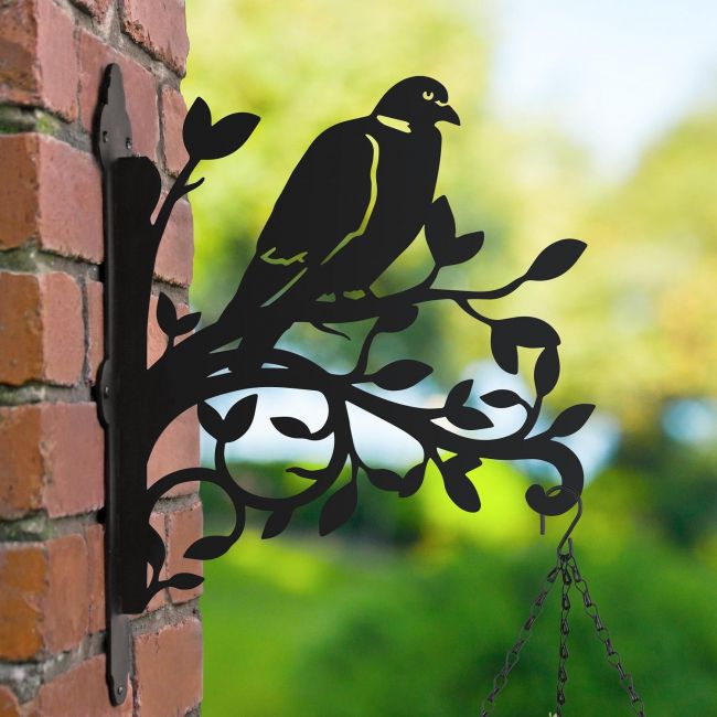 Wood Pigeon Hanging Basket Bracket in Garden Setting Wood Pigeon Hanging Basket Bracket in Garden Setting