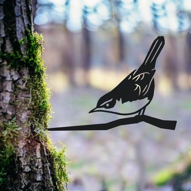 Cettis Warblere Spike in the Woodlands