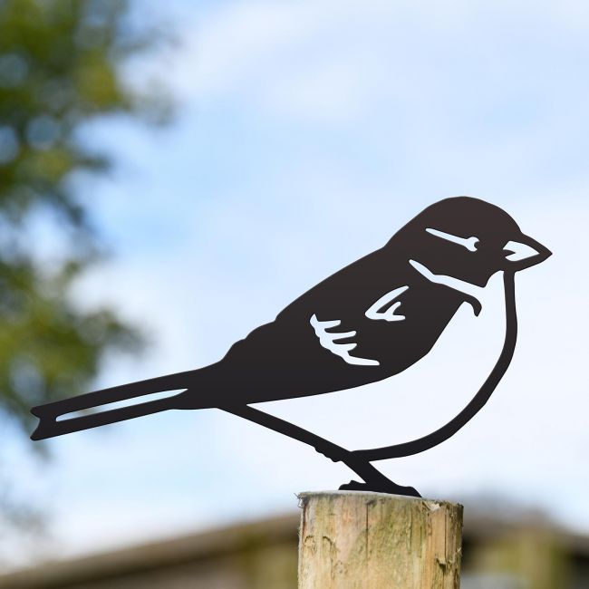 House Sparrow Fence Topper in Situ House Sparrow Fence Topper in Situ