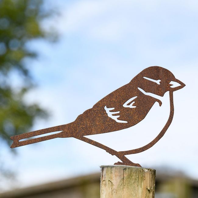 House Sparrow Fence Topper in Use on the Top of a Fence House Sparrow Fence Topper in Use on the Top of a Fence