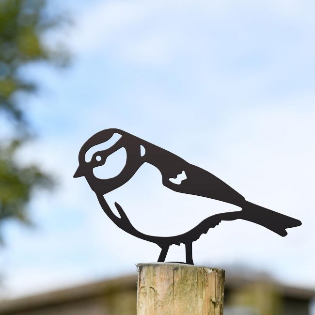 Blue Tit Fence Topper in Situ Blue Tit Fence Topper in Situ