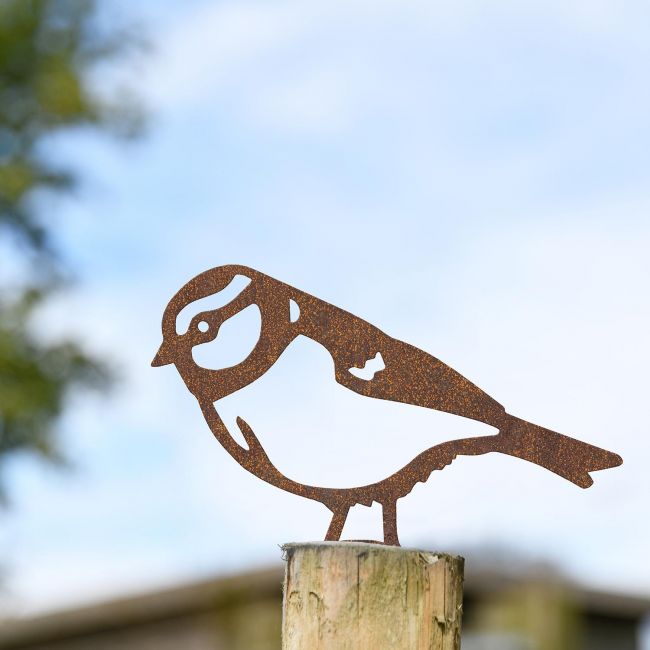 Blue Tit Fence Topper in Use Outdoors in the Garden Blue Tit Fence Topper in Use Outdoors in the Garden