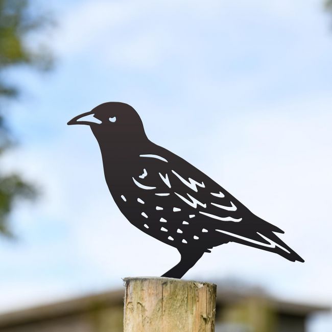 Starling Fence Topper in Use Outdoors in the Garden Starling Fence Topper in Use Outdoors in the Garden