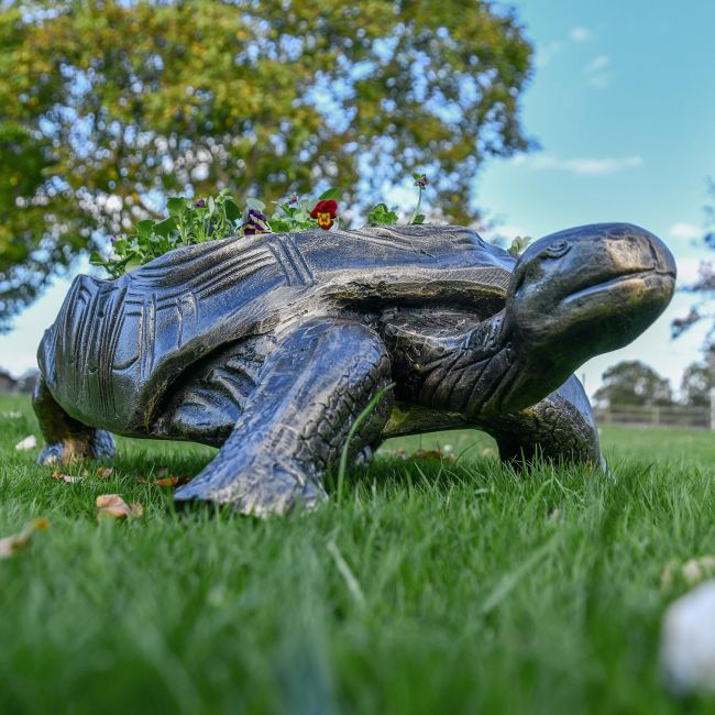 Antique Bronze Tortoise Planter in situ