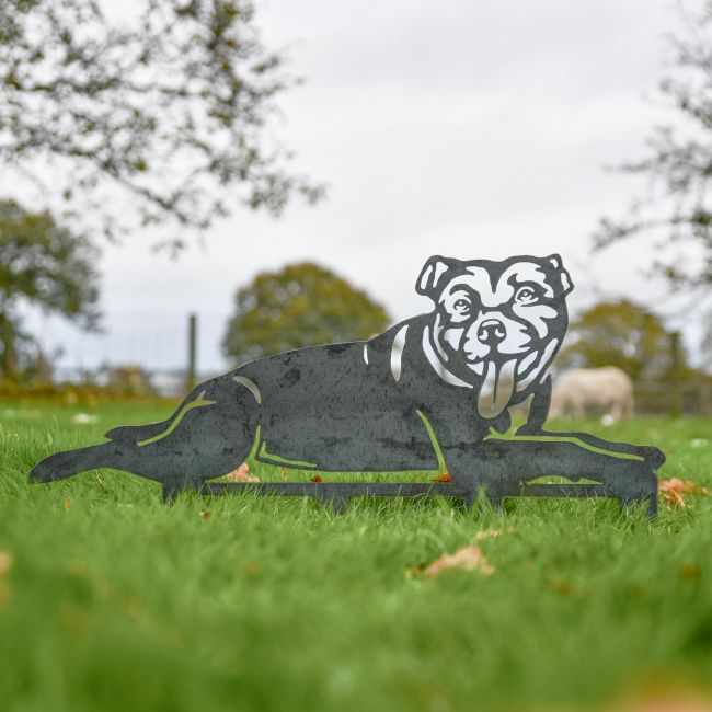 Staffordshire Bull Terrier Silhouette on Display in the Garden Staffordshire Bull Terrier Silhouette on Display in the Garden