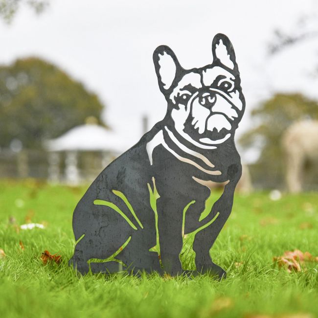 Staffordshire Bull Terrier Silhouette on Display in the Garden Staffordshire Bull Terrier Silhouette on Display in the Garden