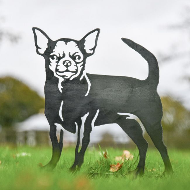 Staffordshire Bull Terrier Silhouette on Display in the Garden Staffordshire Bull Terrier Silhouette on Display in the Garden