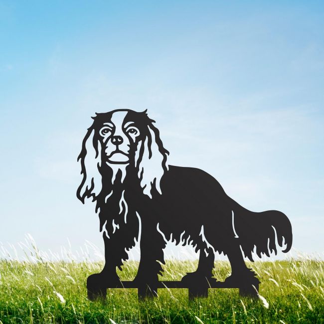 Staffordshire Bull Terrier Silhouette on Display in the Garden Staffordshire Bull Terrier Silhouette on Display in the Garden