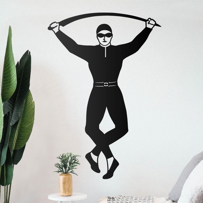 Harlequin Steel Wall Art on a White Wall