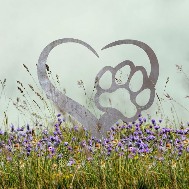 Paw Print on Heart Grave Marker Ground Spike in Natural Steel Finish Paw Print on Heart Grave Marker Ground Spike in Natural Steel Finish