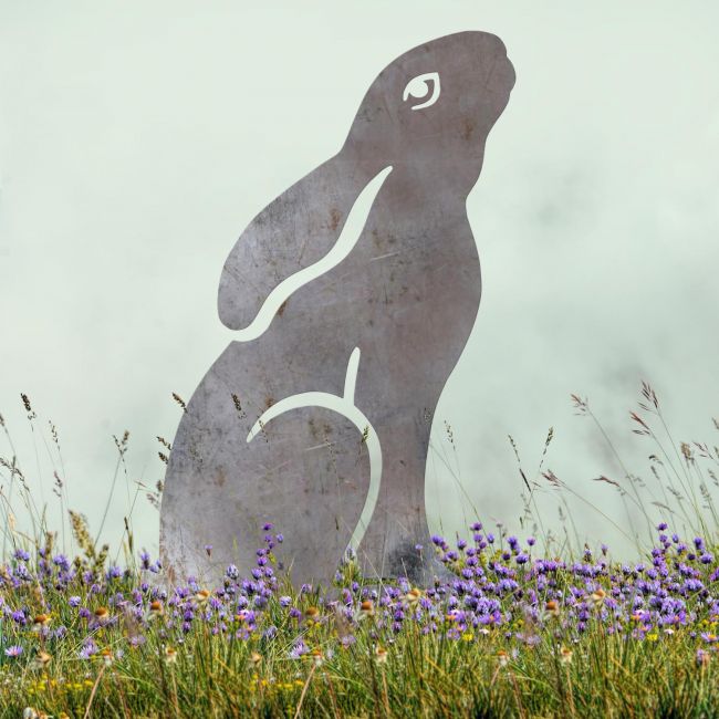 Black Giraffe Silhouette Black Giraffe Silhouette