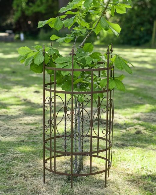 Ornate Steel "Winslow" Tree Guard Ornate Steel "Winslow" Tree Guard