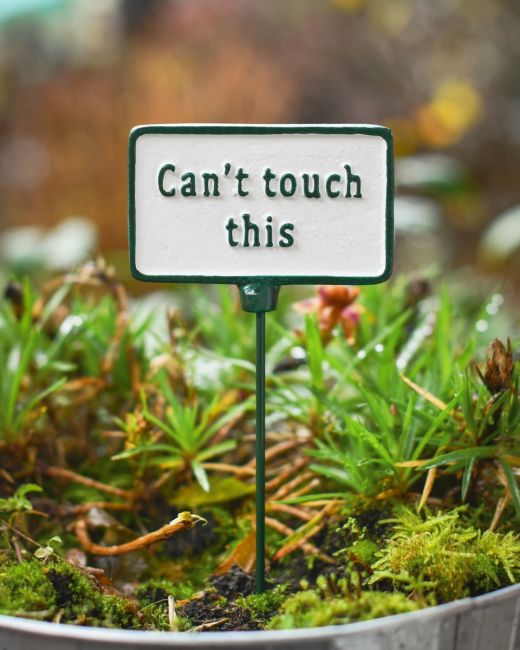 Witty Cast Iron Plant Pot Spike “Can’t Touch This” Main image