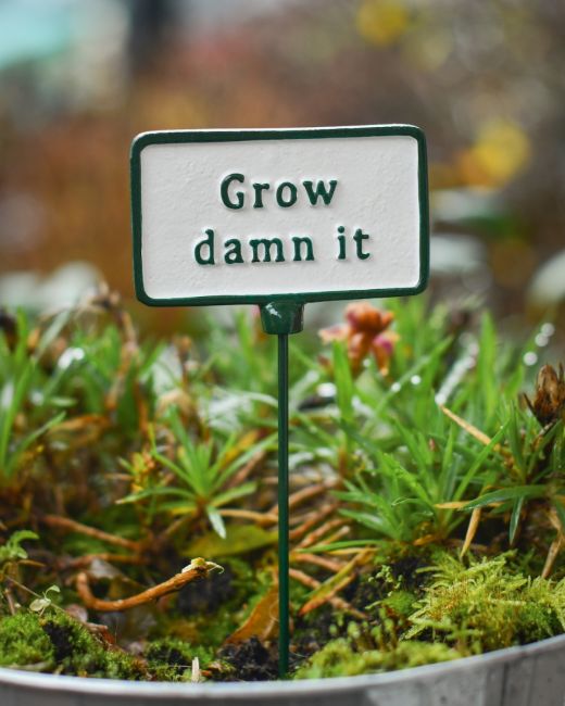 Witty Cast Iron Plant Pot Spike “Grow Damn it” main image