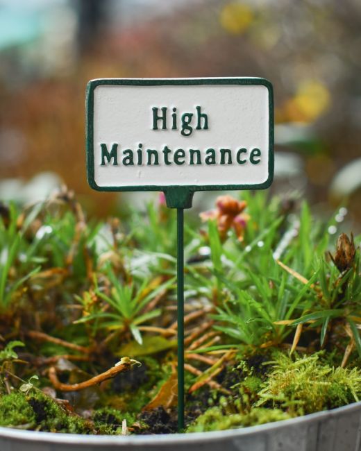 Witty Cast Iron Plant Pot Spike “High Maintenance” main image