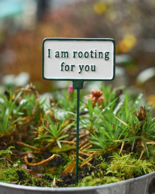 Witty Cast Iron Plant Pot Spike “I’m Rooting for You” main image