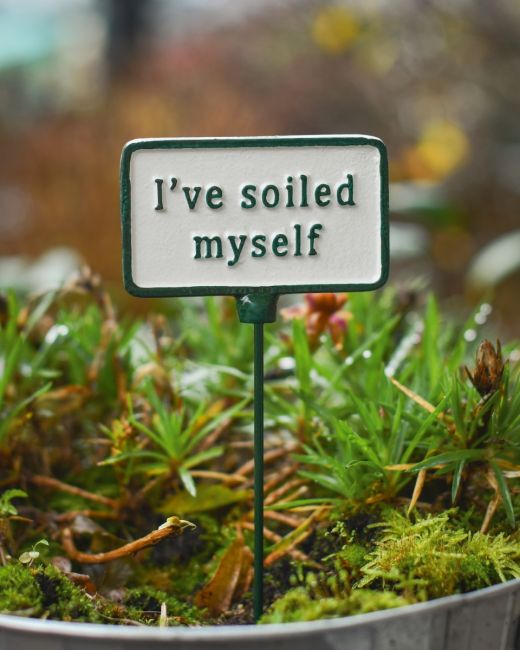 Witty Cast Iron Plant Pot Spike “I’ve Soiled Myself” Main image