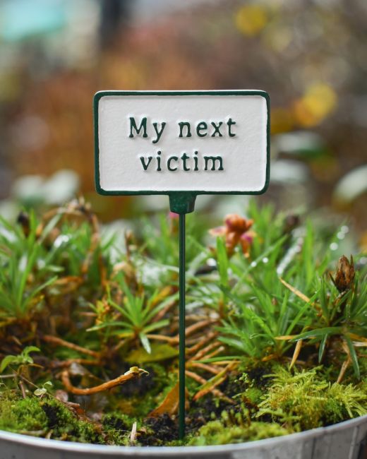 Witty Cast Iron Plant Pot Spike “My Next Victim” main image