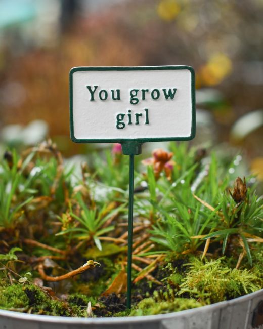 Witty Cast Iron Plant Pot Spike “You Grow Girl” main image