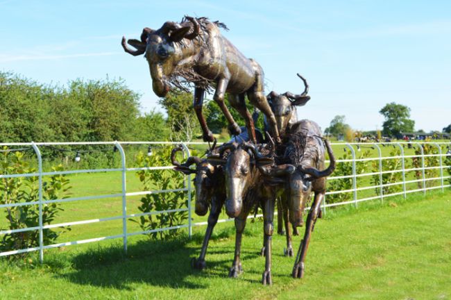 "Buckenall" Sculpture of Leaping Whitetail Wildebeests "Buckenall" Sculpture of Leaping Whitetail Wildebeests