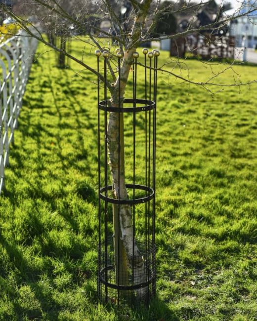 Wrought Iron Traditional "Fernhill" Black Tree Guard Main Wrought Iron Traditional "Fernhill" Black Tree Guard Main