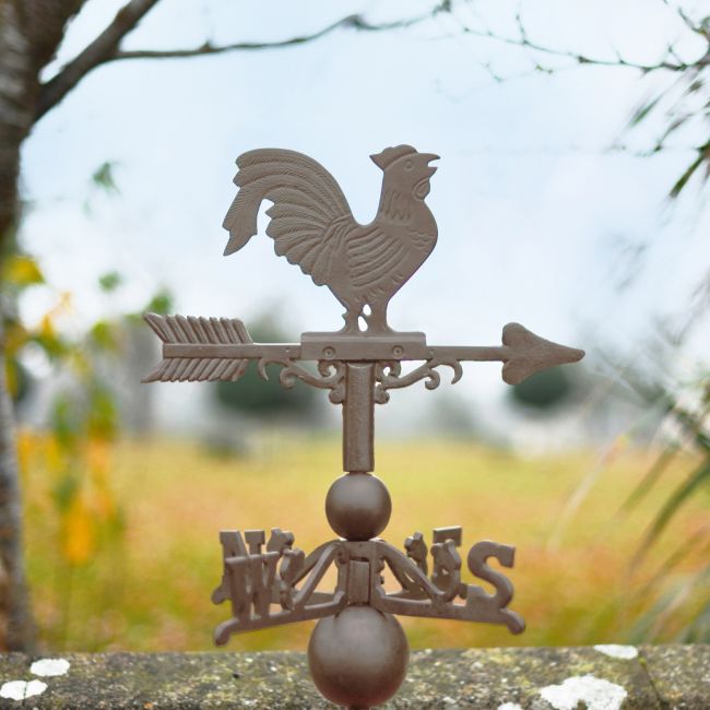 Standard Iron Rooster Weathervane In A Rustic Finish Standard Iron Rooster Weathervane In A Rustic Finish