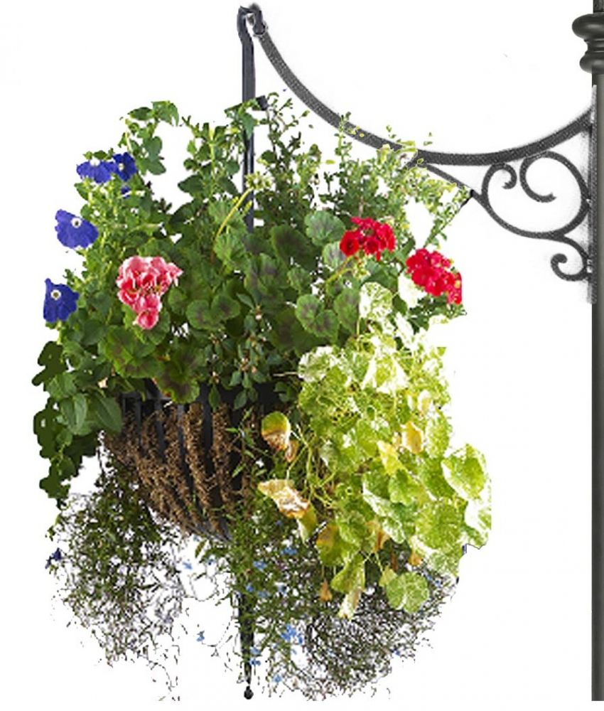 Scroll Design Hanging Basket Bracket Black Country Metalworks