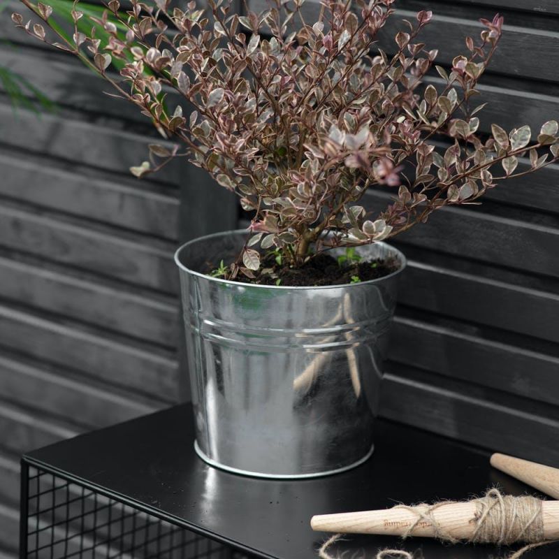 Polished Steel Plant Bucket Planter | Black Country Metalworks