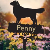 Golden Retriever Ground Spike