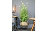 Rustic Gold Tulip-Shaped Planter in Situ